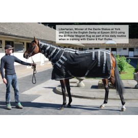 Couverture magnétique pour cheval LeMieux Conductive Magno - Autres  couvertures - Textile - Cheval